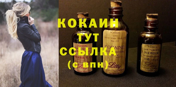 дмт Ельня