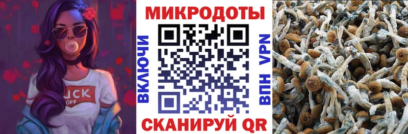 Купить закладки  Медвежьегорск  Псилоцибиновые грибы мицелий 